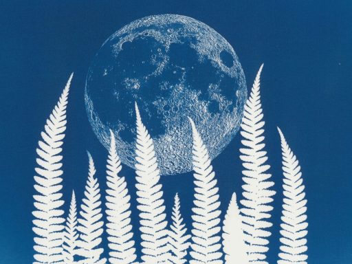 Voller Mond hinter silbernen Farnen auf blauem Hintergrund.
