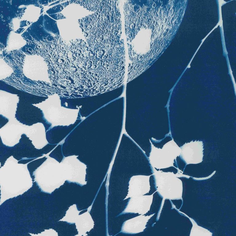 Ausstellung auf der Burg Tannroda Cyanotypie Mond und Birke