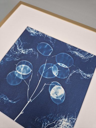 Abstrakte Darstellung von Pflanzen auf blauem Hintergrund mit weißen Kreisen.