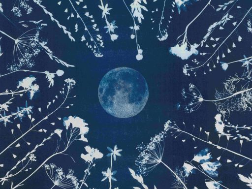 Vollmond umgeben von stilisierten weißen Pflanzen und Sternen auf dunkelblauem Hintergrund.