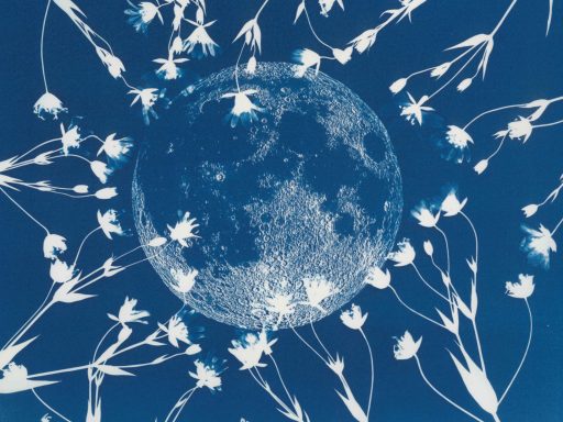 Vollmond umgeben von stilisierten Blumen und Blättern auf blauem Hintergrund.